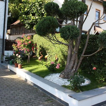 Ferienwohnung Im Gruenen ゲスヴァインシュタイン エクステリア 写真