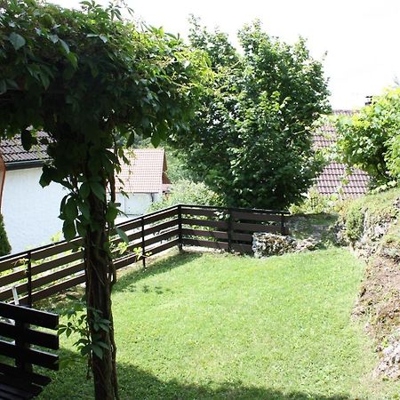 Ferienwohnung Im Gruenen ゲスヴァインシュタイン エクステリア 写真