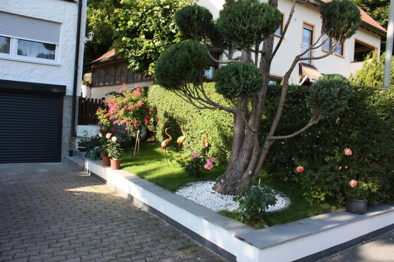 Ferienwohnung Im Gruenen ゲスヴァインシュタイン エクステリア 写真